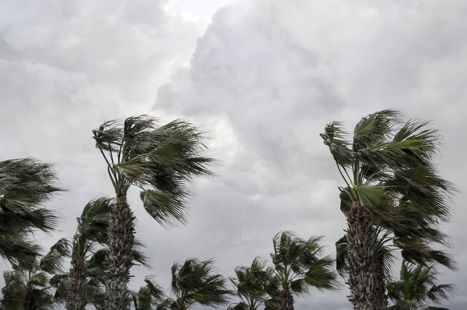 Tropical Storm Erin: Breaking Down the First Major Hurricane Threat of 2025